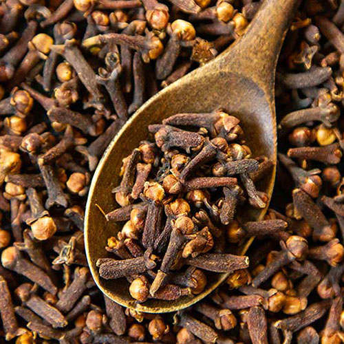 Cloves Manufacturers in Parganas