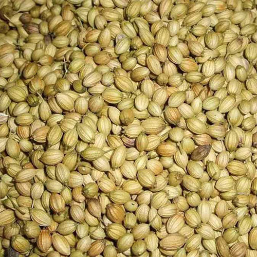 Coriander Manufacturers in Parganas