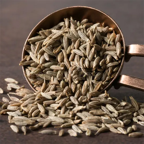 Cumin Seed Manufacturers in Parganas