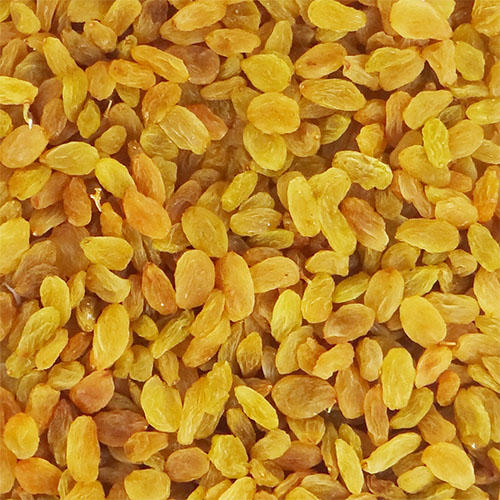 Raisins Supplier in Parganas