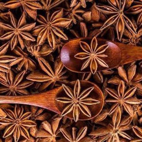 Star Anise Manufacturers in Parganas