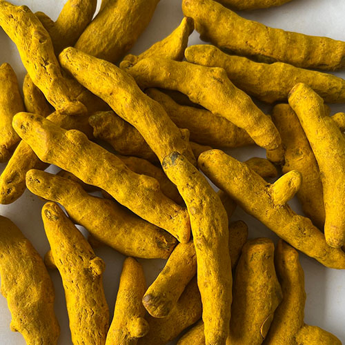 Turmeric Finger Manufacturers in Parganas